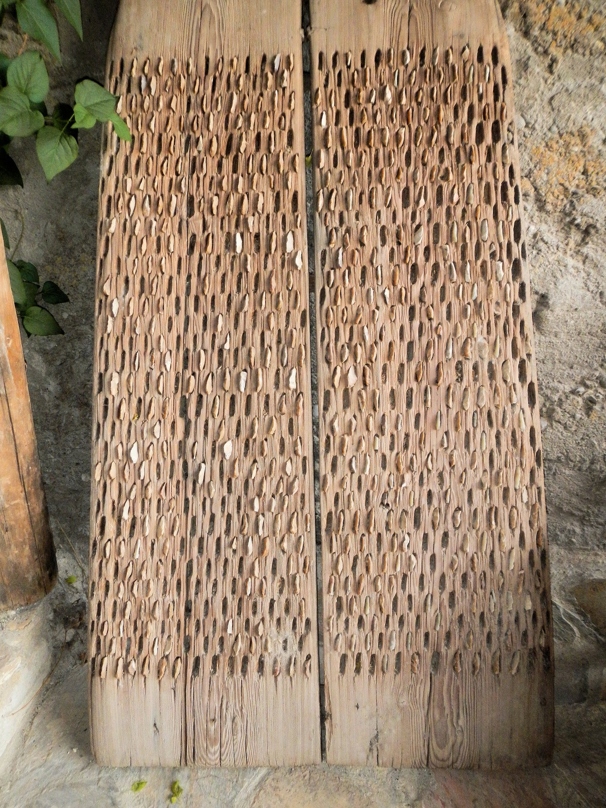 threshing board, old zr